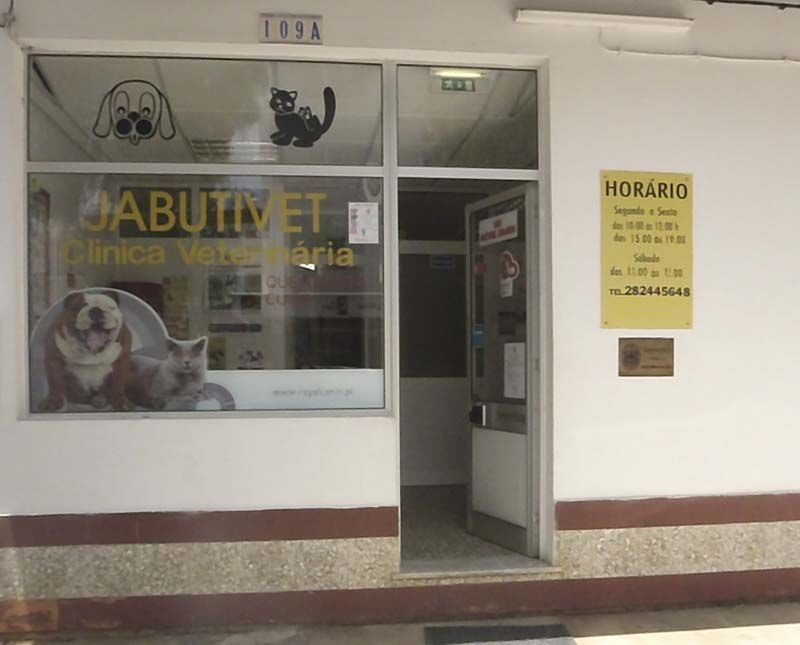 Clínica Veterinária Jabutivet