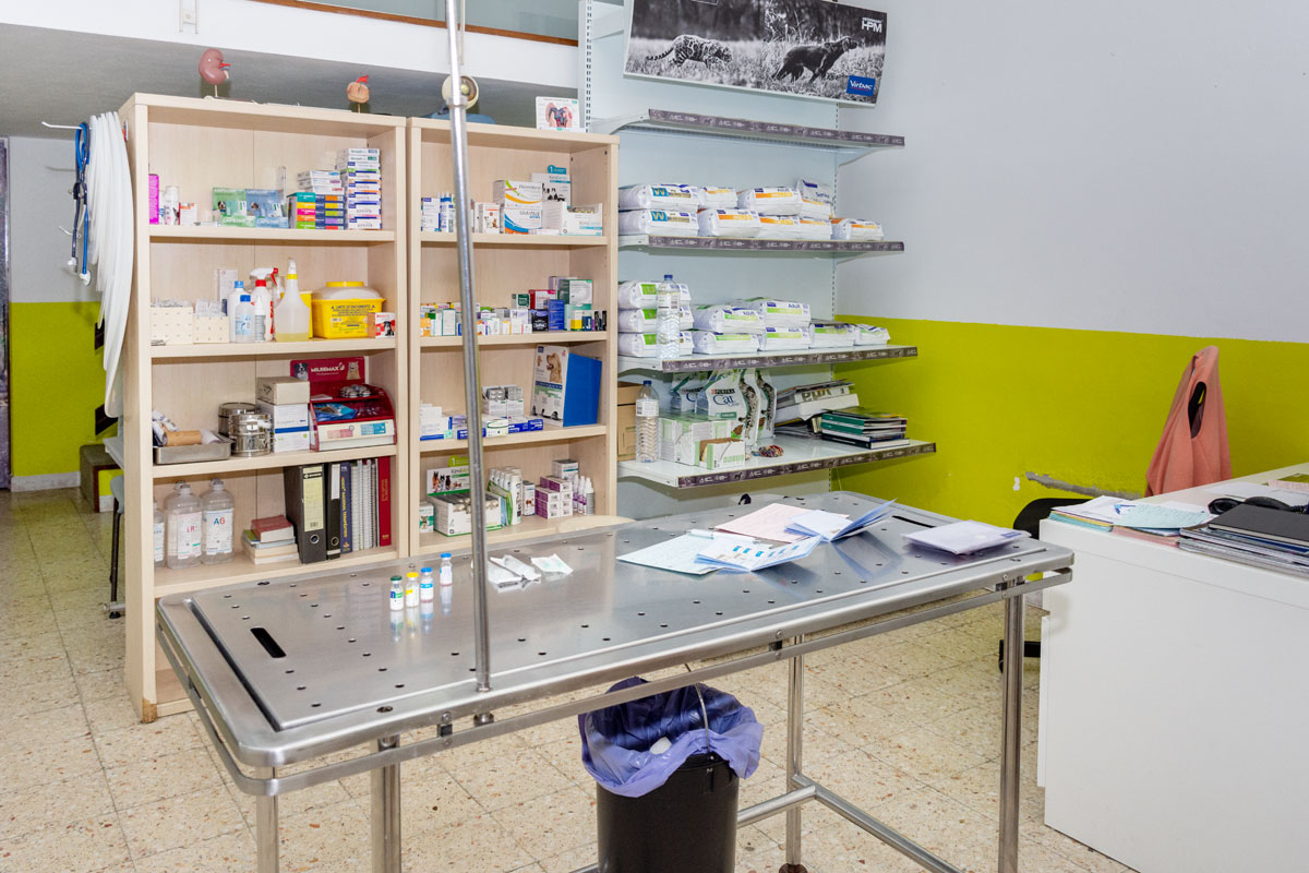 Clínica Veterinária Santa Luzia