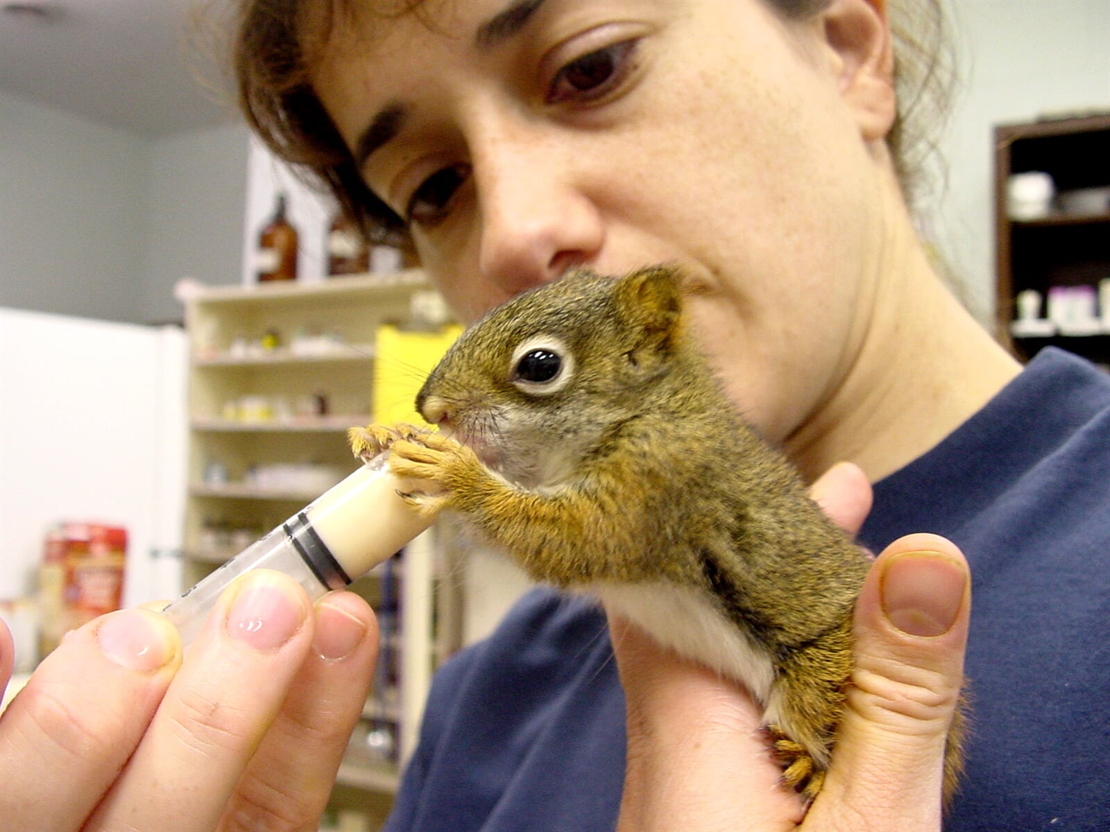 Centro Veterinário Ana e Os Bichos