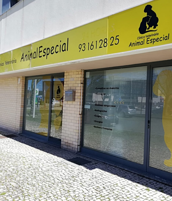 Clínica Veterinária Animal Especial