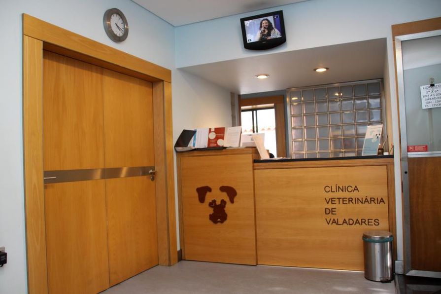 Clínica Veterinária de Valadares