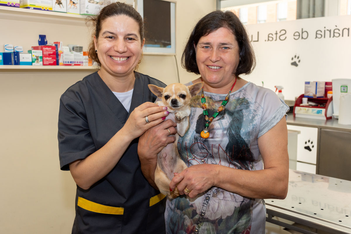 Clínica Veterinária Santa Luzia
