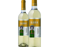 Olaria Alentejo Branco
