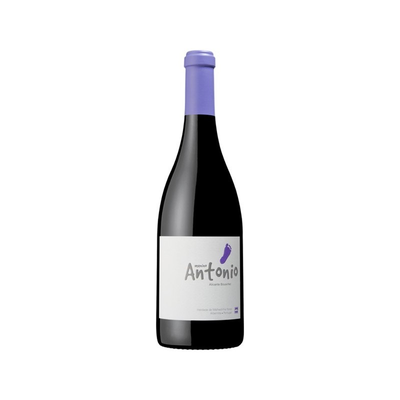Menino Antonio  Tinto