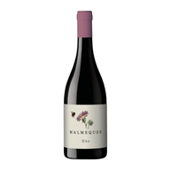 Malmequer Tinto