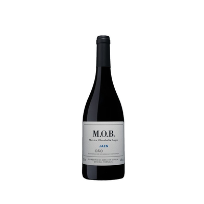 MOB Jaen  Tinto