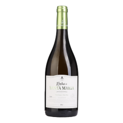 Vinha de Santa Maria  Branco