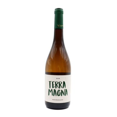Terra Magna Encruzado Dão  Branco