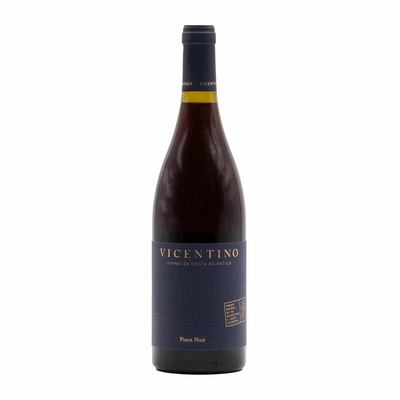 Vicentino Pinot Noir Alentejo  Tinto