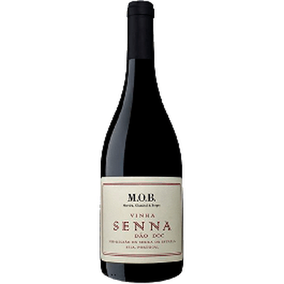 M.O.B. Senna  Tinto