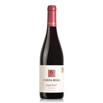 Vinha Costa Boal - Douro  Tinto