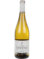 Dom Divino 