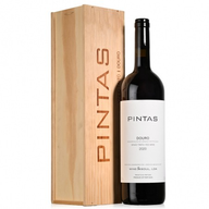 Pintas Grande Formato Tinto