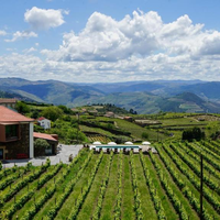 Casa do Santo Wine & Tourism