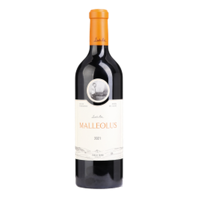 Malleolus  Tinto