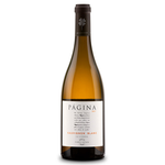 Página Sauvignon