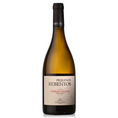 Verde Pequenos Rebentos Vinhas Velhas 