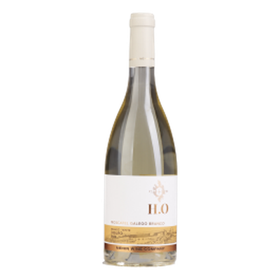 H.O Moscatel Galego  Branco