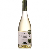 Biológico Cabriz - Dão Branco