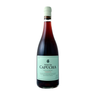 Vale Da Capucha Castelão Tinto