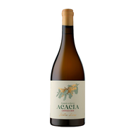 Ponte Da Barca Loureiro Acácia Sobre Lias White