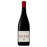 Musgo Branco
