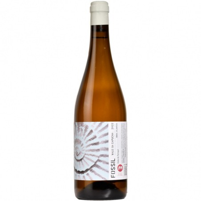 Biológico Vale da Capucha Fóssil - Lisboa 