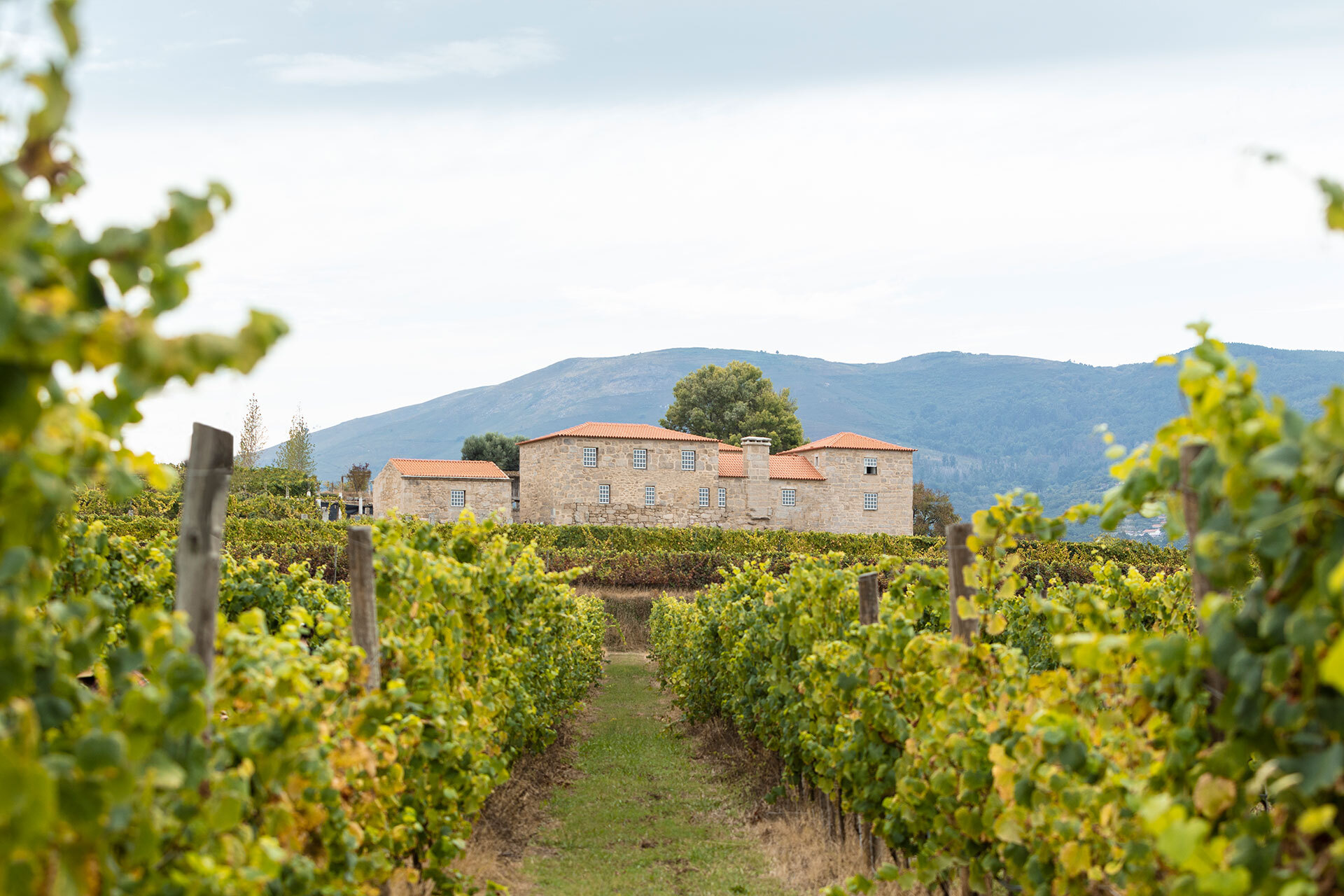 Quinta da Pacheca