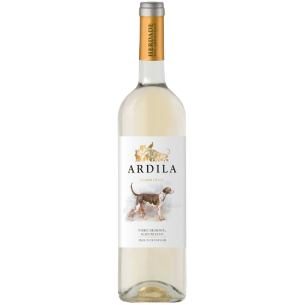 Ardila