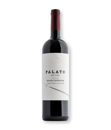 Palato Do Côa