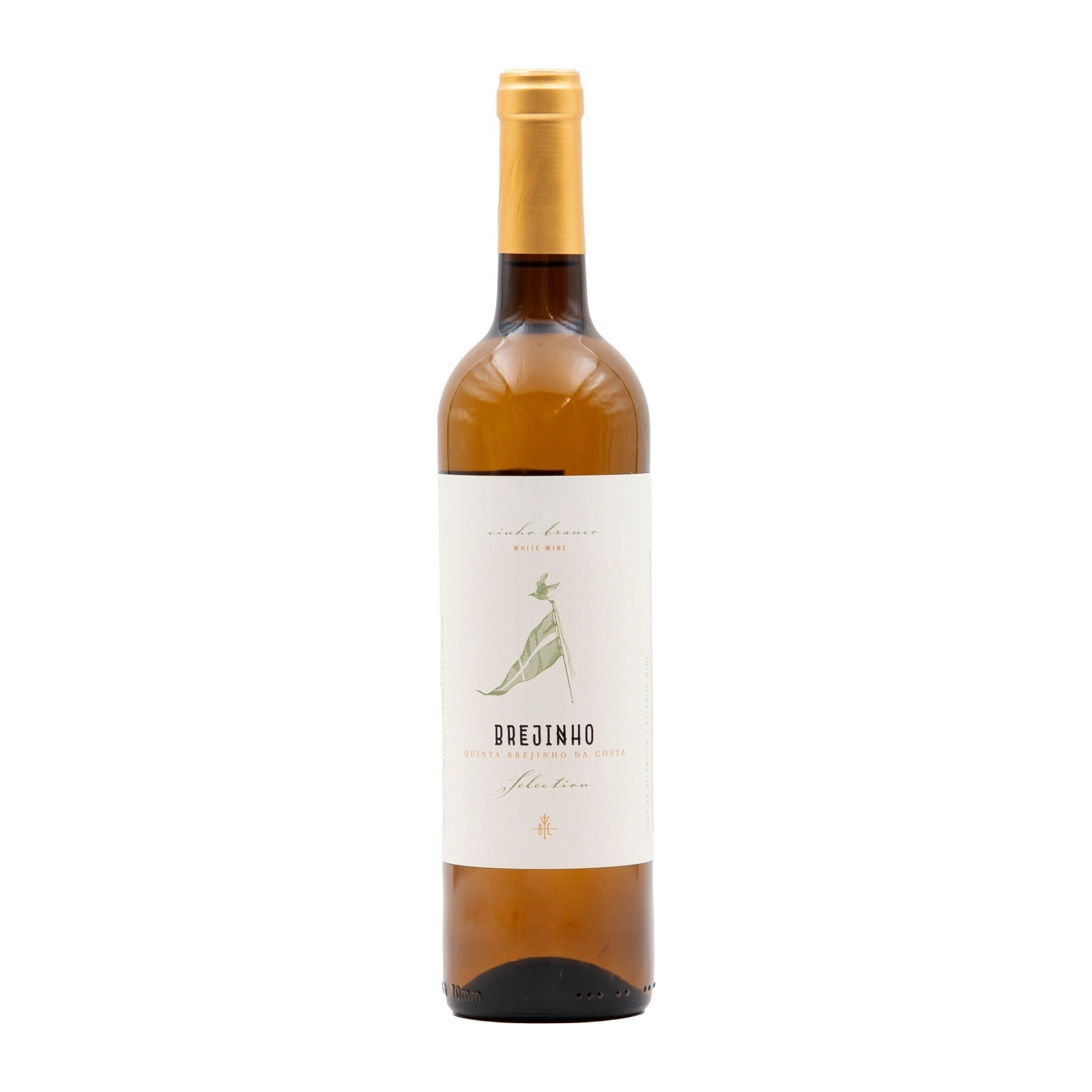 Brejinho Da Costa Selection