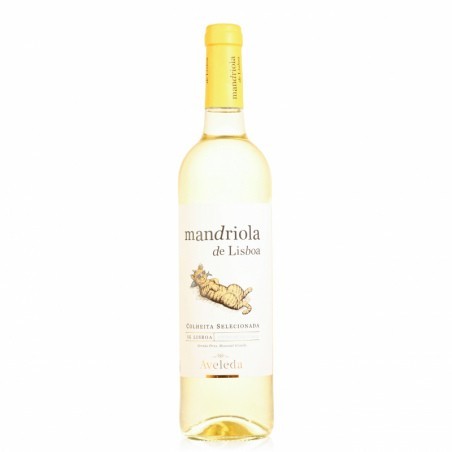 Mandriola Lisboa