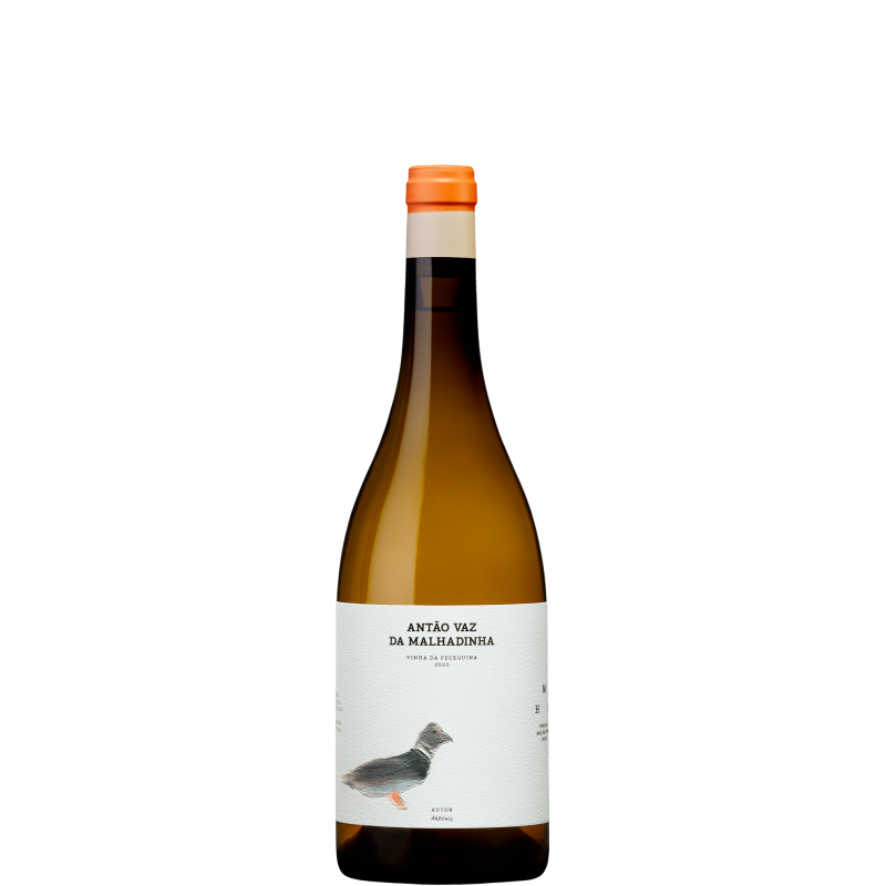 Antão Vaz Da Malhadinha - Vinha Da Peceguina