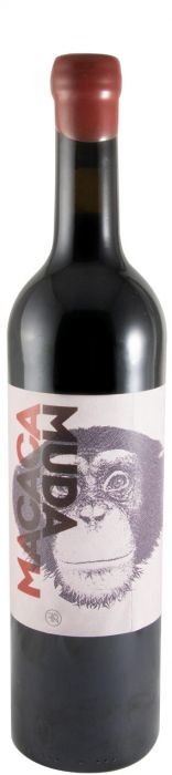 Macaca Muda