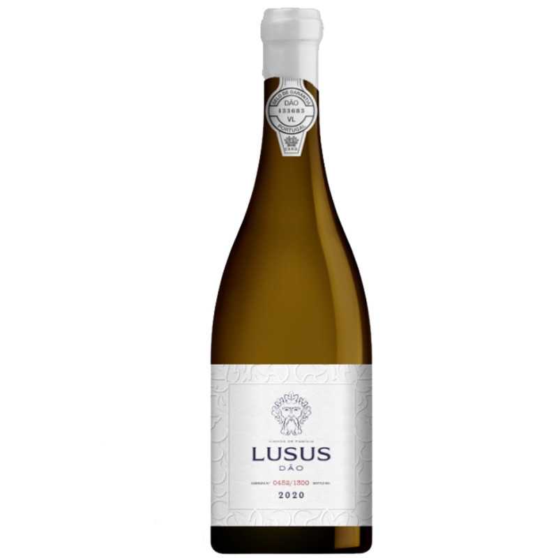 Lusus