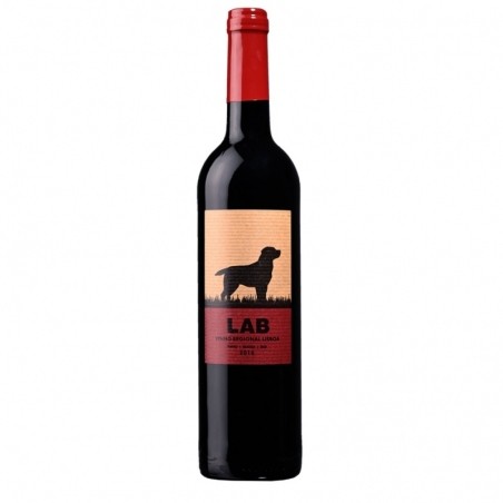 Lab - Região De Lisboa