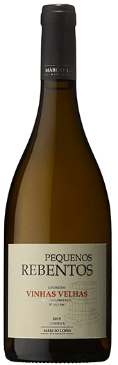 Pequenos Rebentos A Moda Antiga