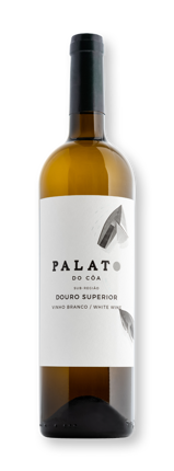Palato Do Côa