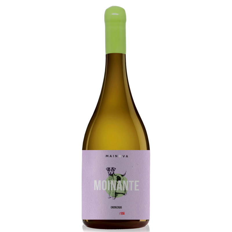 Moinante Encruzado