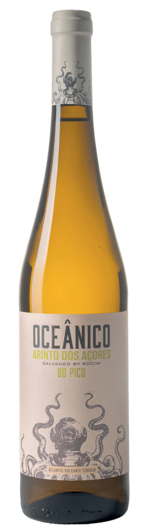 Olho De Mocho Single Vineyard Reserva
