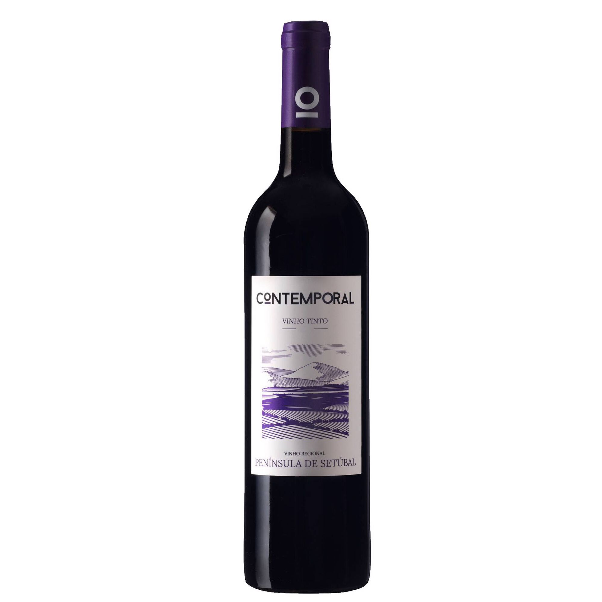 Contemporal Península De Setúbal