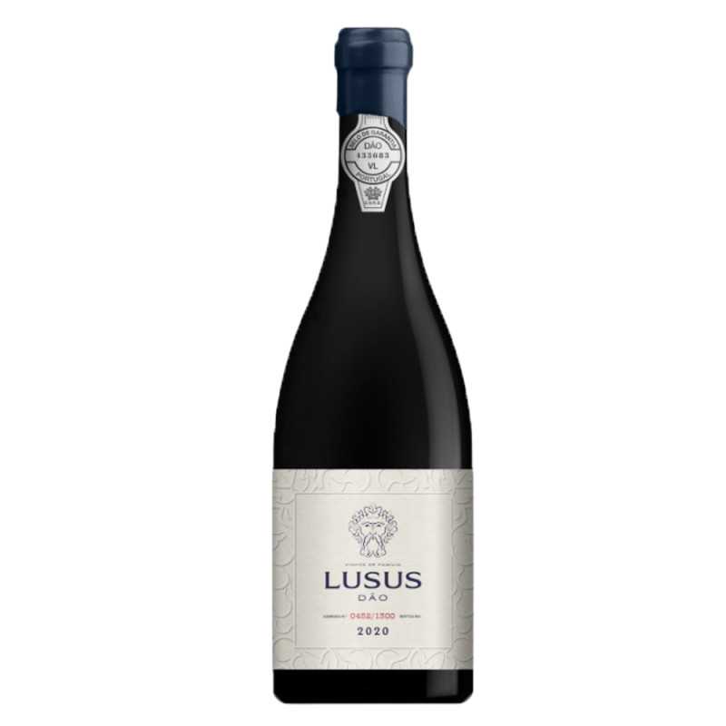 Lusus