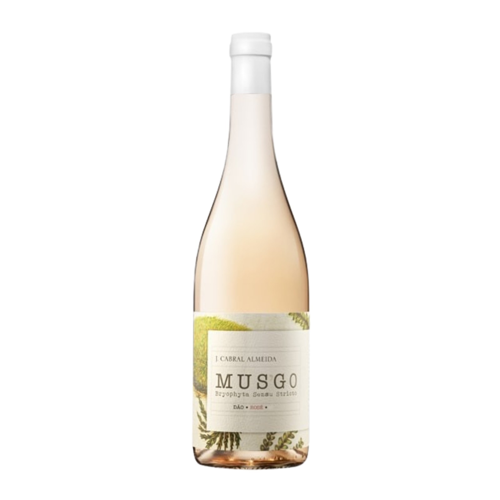 Musgo