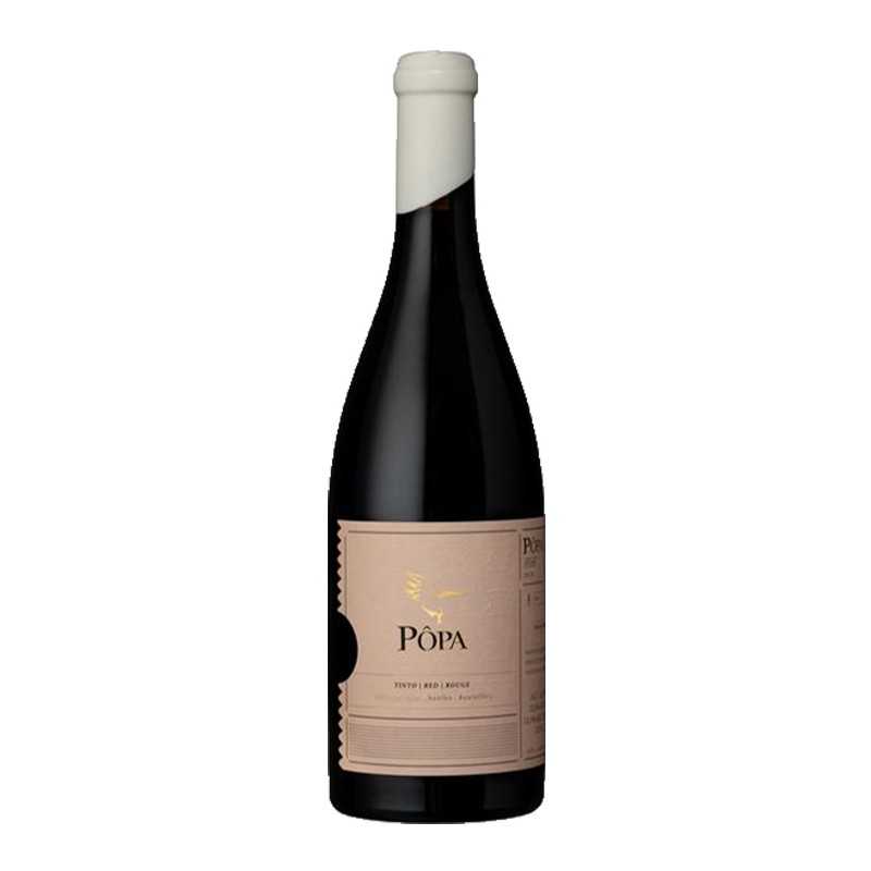 Pôpa Amphora