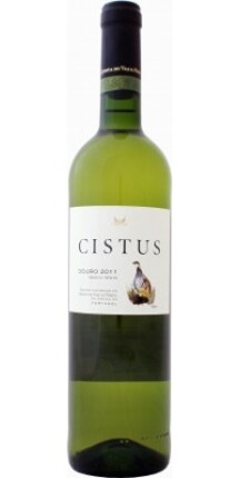 Cistus