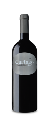 Bodegas San Roman Cartago