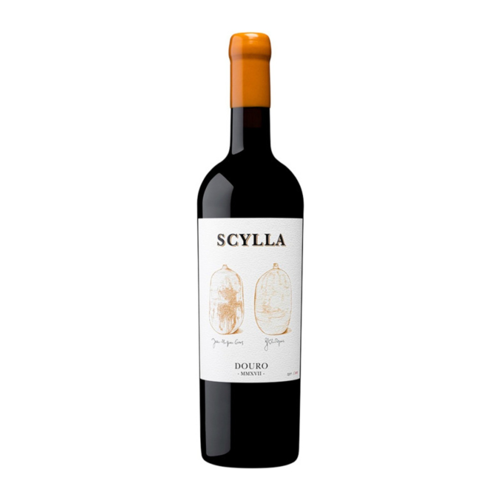 Scylla Amphora