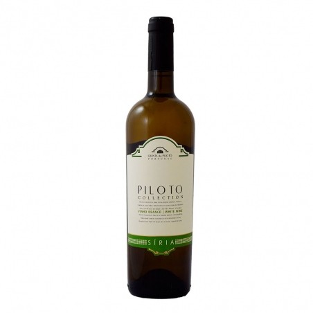 Piloto Collection Síria - Setúbal