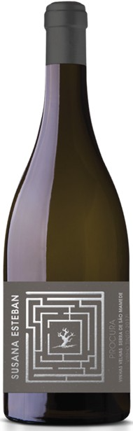 Susana Esteban Procura Na Anfora