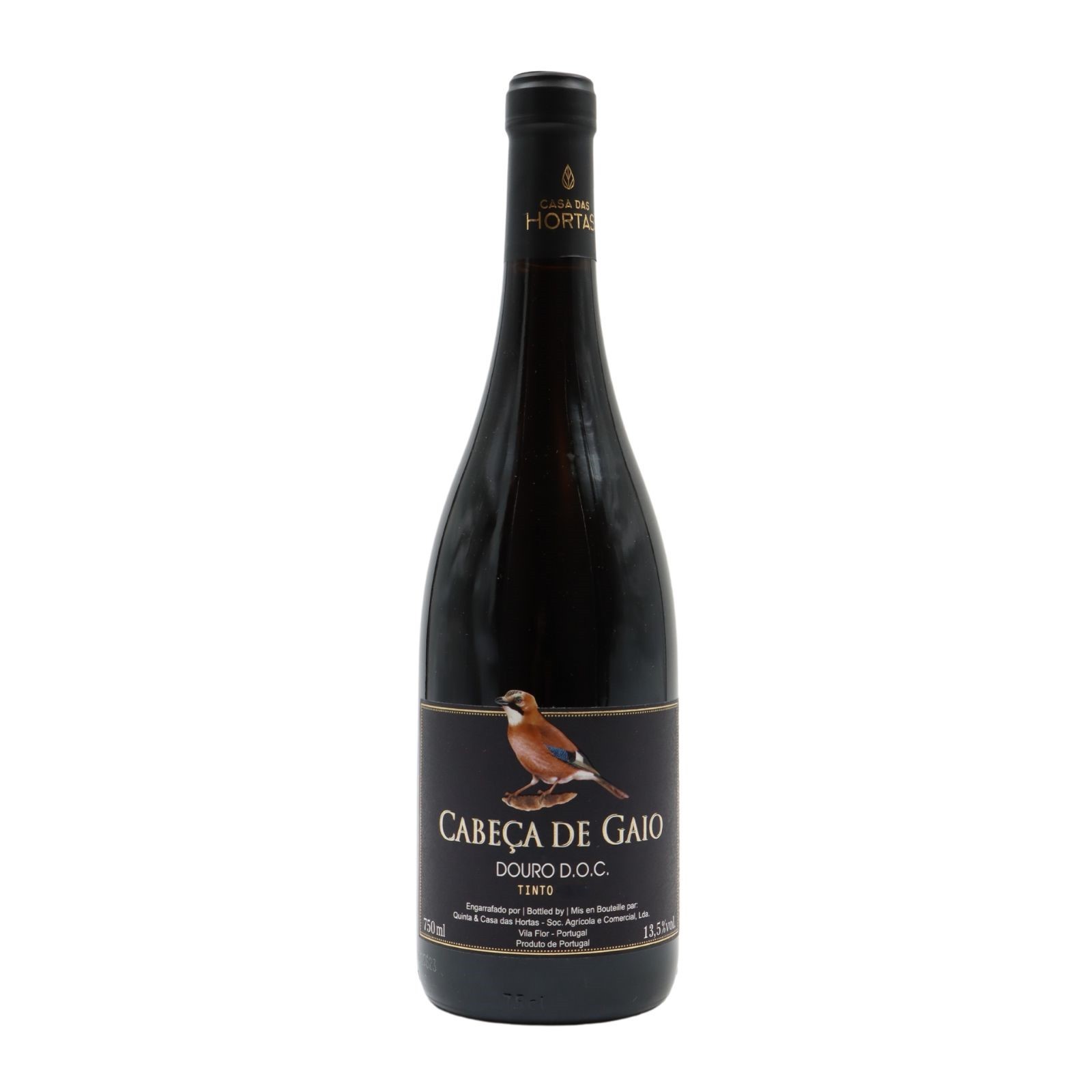 Cabeça De Gaio
